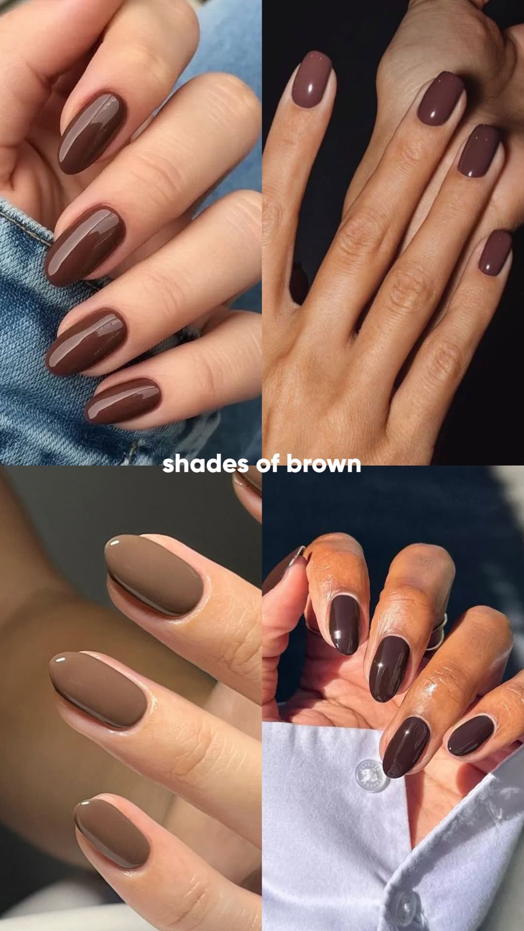 Shades of Brown